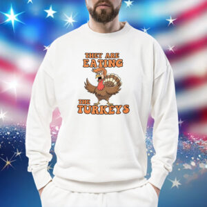 Funny Political Turkey Shirt, Thanksgiving Gift, Thanksgiving Trump Humor Shirt