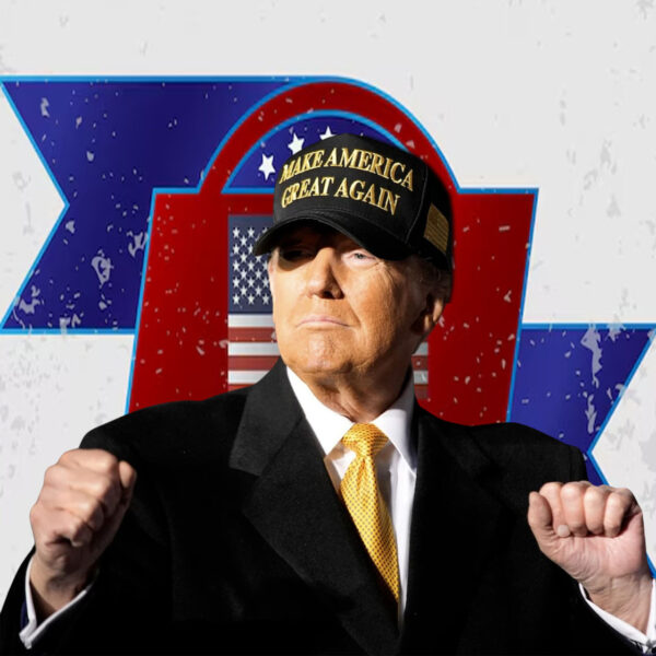 Make America Great Again Trump 2024 Embroidered Hat