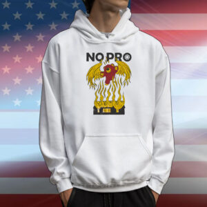 Bear rising nopro T-Shirt