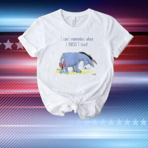 Eeyore I can’t remember when I wasn’t tired T-Shirt
