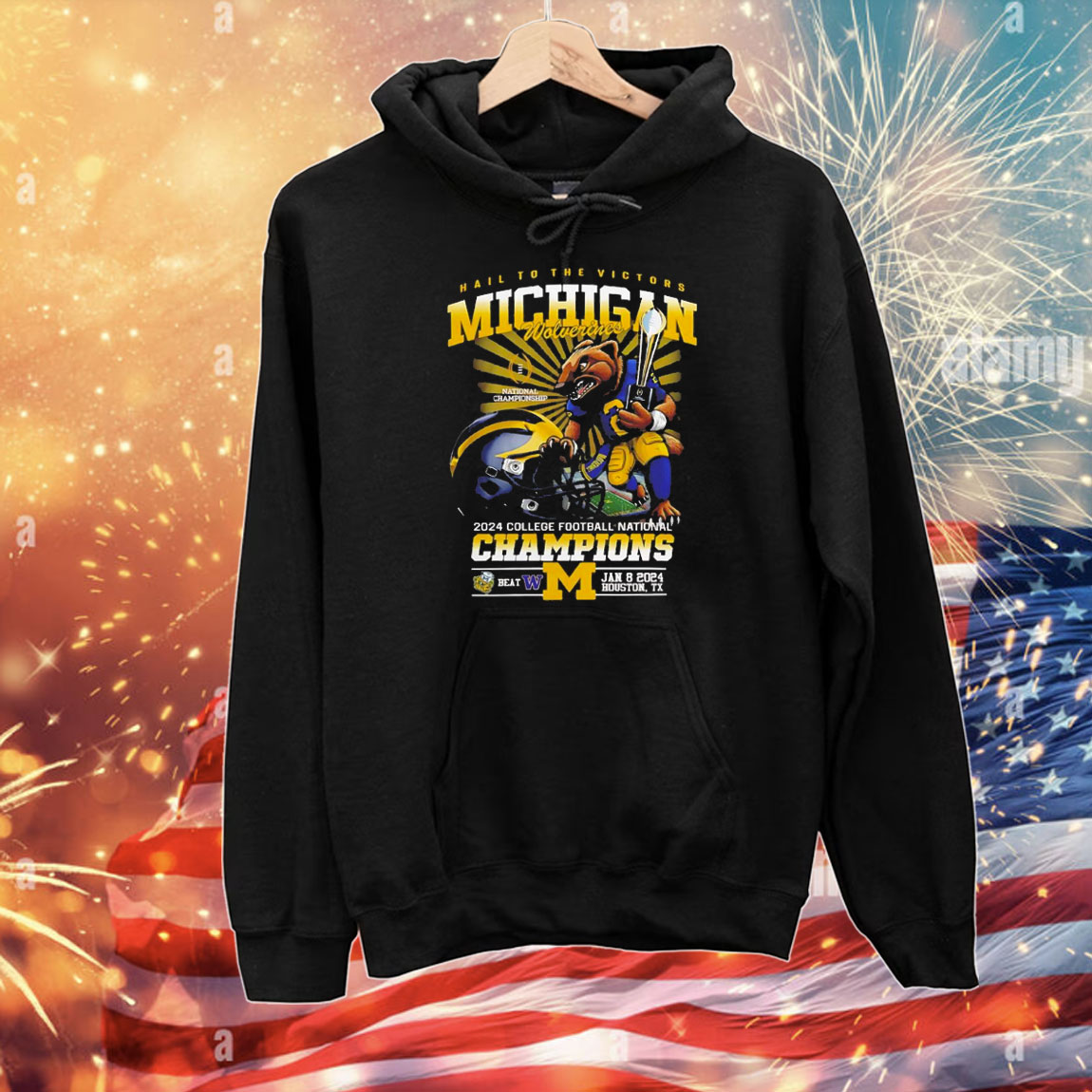 Hail to the victors Michigan Wolverines 2024 college football national champions T-Shirt