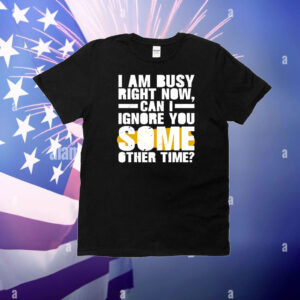 I am busy right now can I ignore you some other time T-Shirt