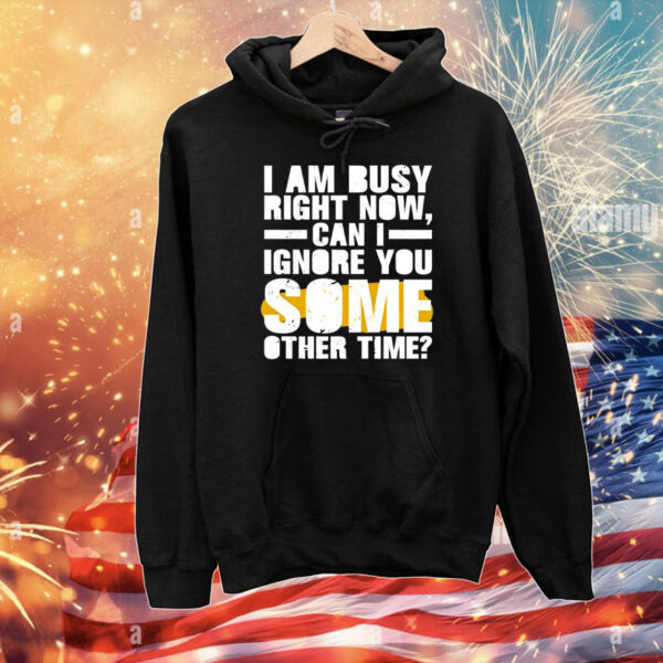 I am busy right now can I ignore you some other time T-Shirt