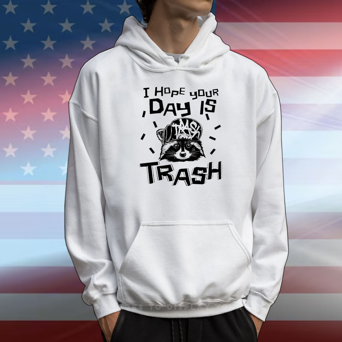 Raccoon I hope your day is trash T-Shirt