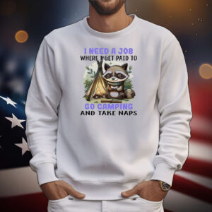 Raccoon I need a job where I get paid to go camping and take naps T-Shirt
