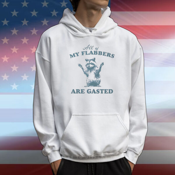 Raccoon all of my flabbers are gasted T-Shirt