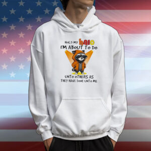 Raccoon hold my halo I’m about to do unto other as they have done unto me T-Shirt