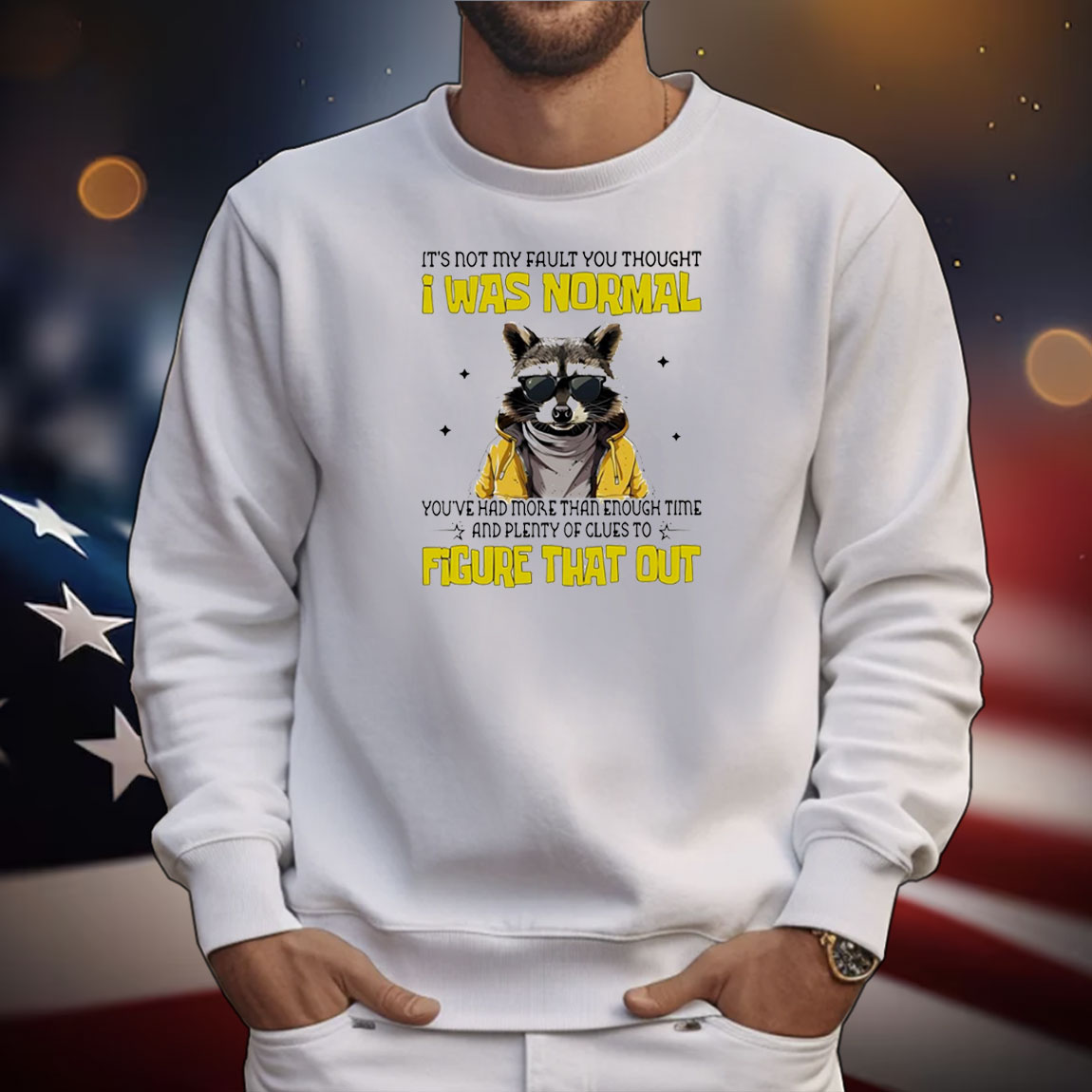 Raccoon it’s not my fault you thought I was normal T-Shirt