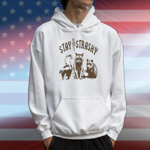 Raccoon stay strashy T-Shirt