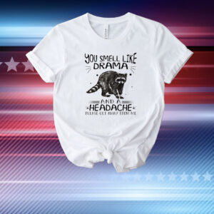 Raccoon you smell like drama and a headache T-Shirt