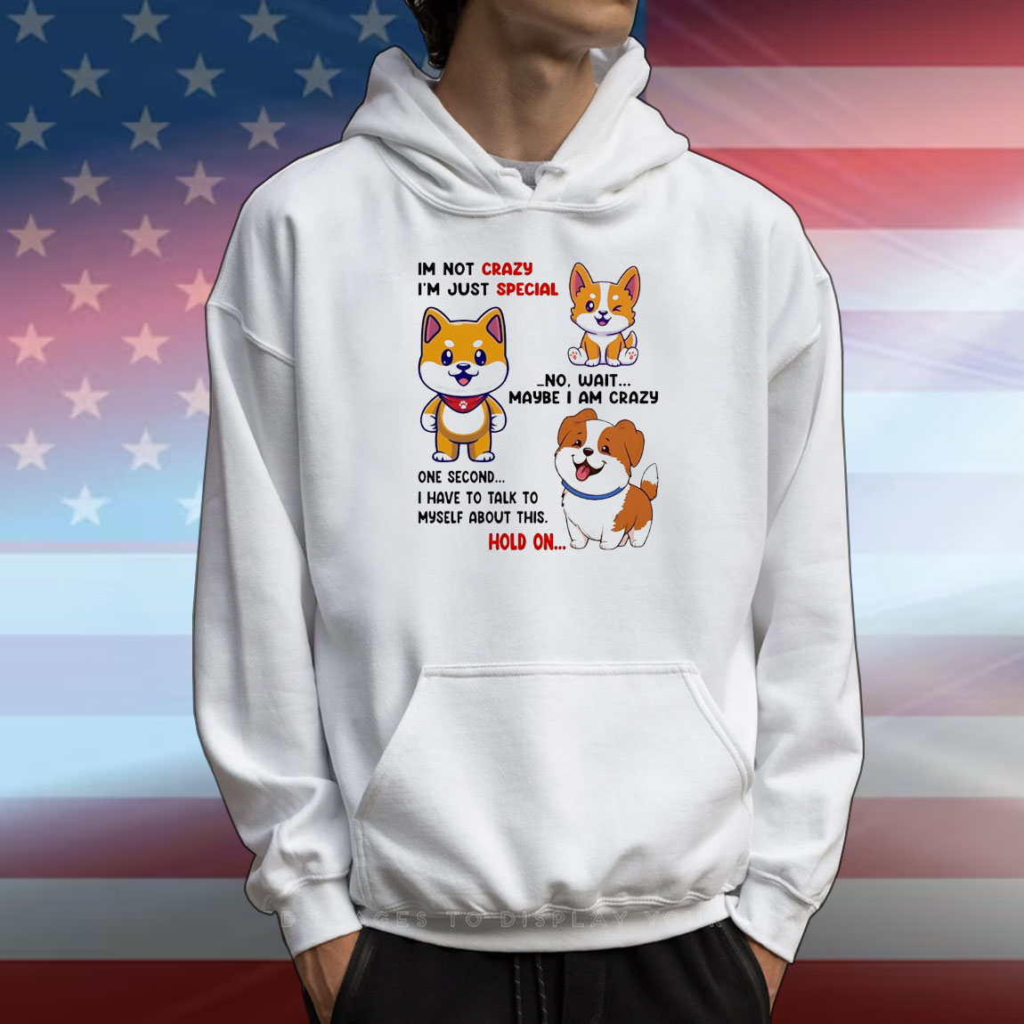 Shiba Inu dog I’m not crazy I’m just special no wait maybe I am crazy one second T-Shirt