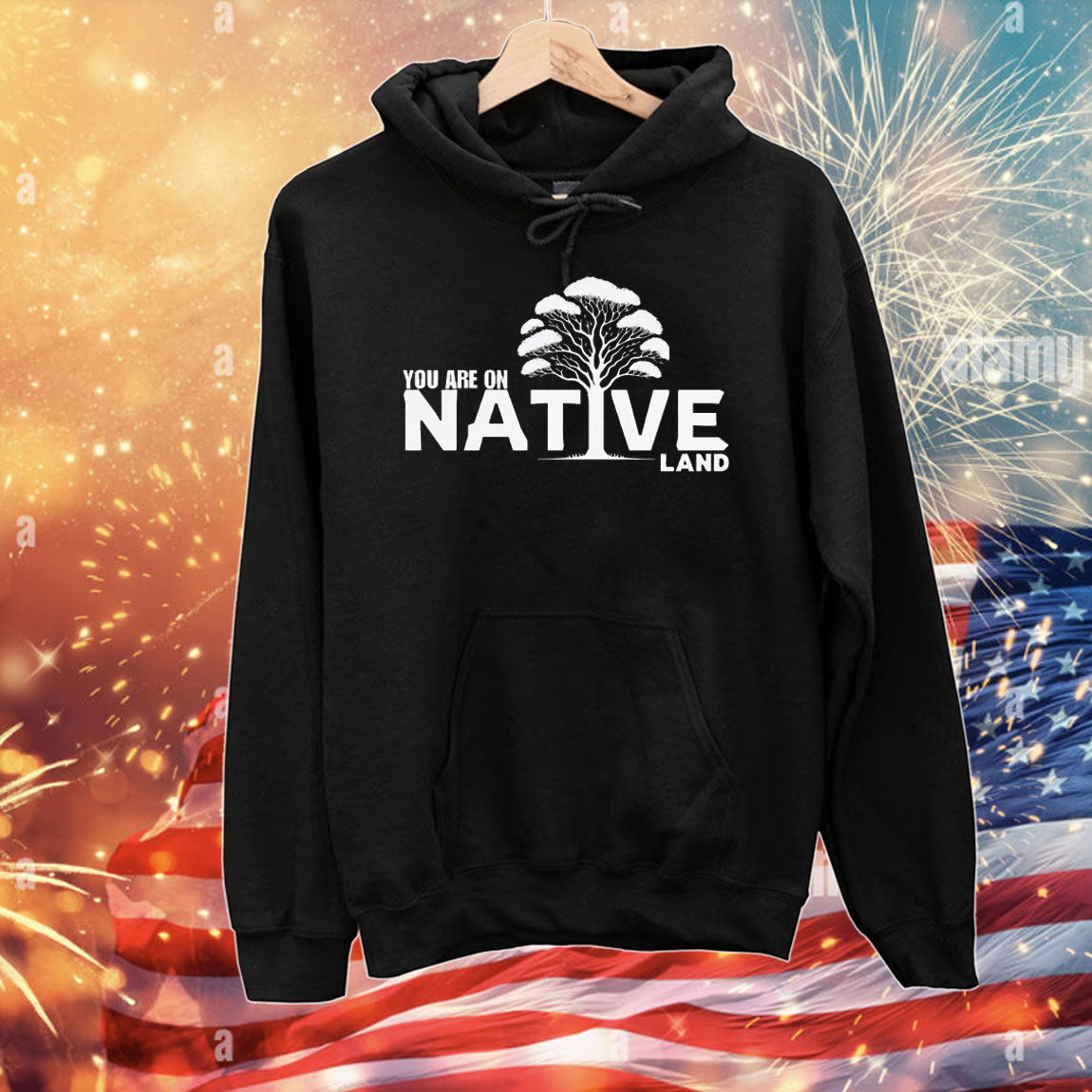 You are on native land T-Shirt