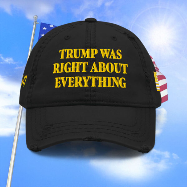 Trump Was Right About Everything Gold Distressed Dad Hat