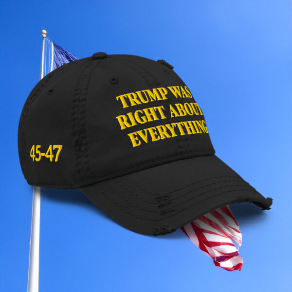 Trump Was Right About Everything Gold Distressed Dad Hat
